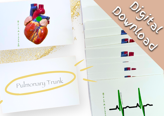 eFlashcards The Heart